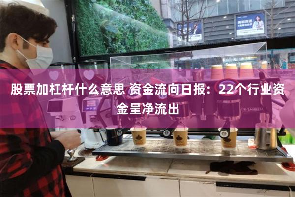 股票加杠杆什么意思 资金流向日报：22个行业资金呈净流出