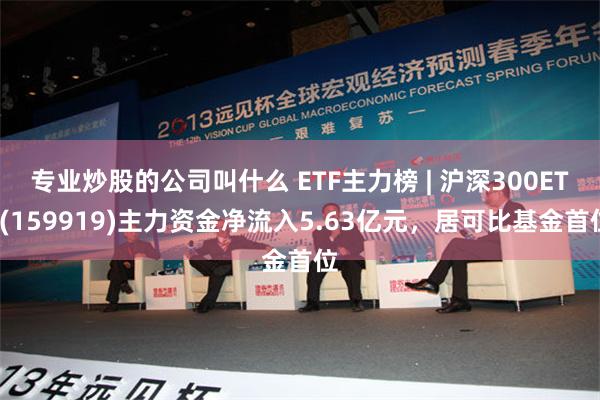 专业炒股的公司叫什么 ETF主力榜 | 沪深300ETF(159919)主力资金净流入5.63亿元，居可比基金首位