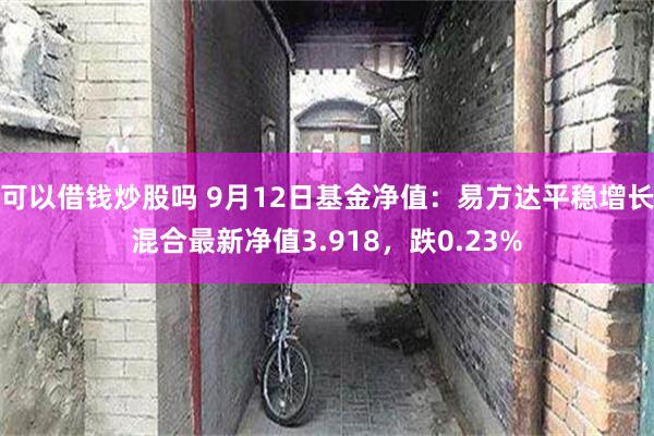 可以借钱炒股吗 9月12日基金净值：易方达平稳增长混合最新净值3.918，跌0.23%