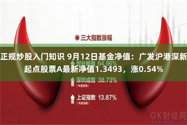 正规炒股入门知识 9月12日基金净值：广发沪港深新起点股票A最新净值1.3493，涨0.54%