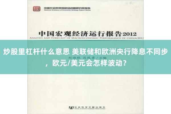 炒股里杠杆什么意思 美联储和欧洲央行降息不同步，欧元/美元会怎样波动？