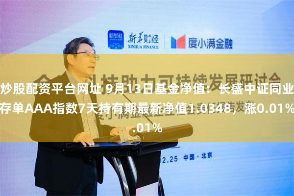 炒股配资平台网址 9月13日基金净值：长盛中证同业存单AAA指数7天持有期最新净值1.0348，涨0.01%