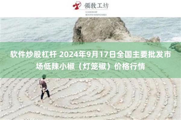软件炒股杠杆 2024年9月17日全国主要批发市场低辣小椒（灯笼椒）价格行情