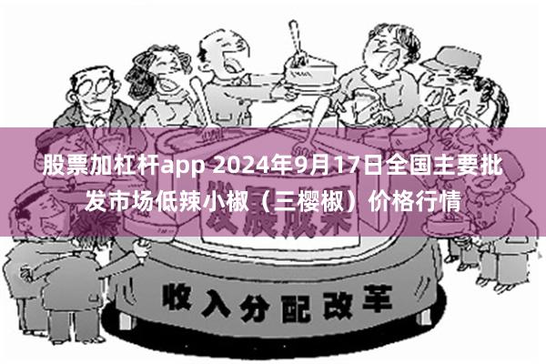 股票加杠杆app 2024年9月17日全国主要批发市场低辣小椒（三樱椒）价格行情
