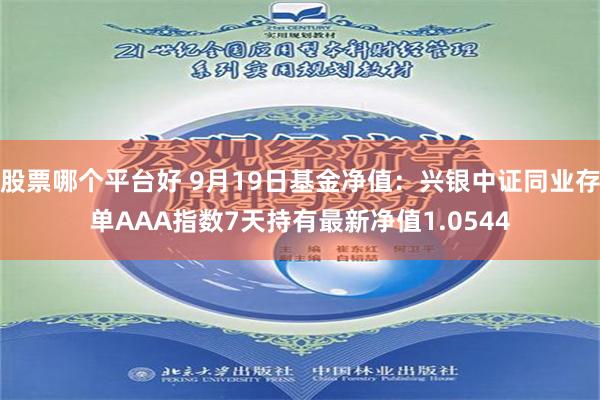 股票哪个平台好 9月19日基金净值：兴银中证同业存单AAA指数7天持有最新净值1.0544