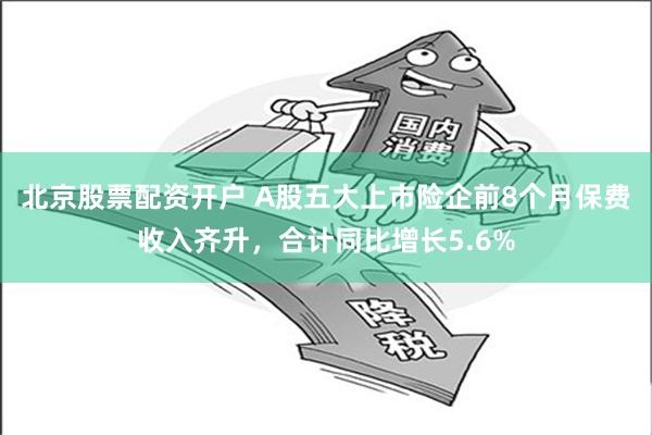北京股票配资开户 A股五大上市险企前8个月保费收入齐升，合计同比增长5.6%