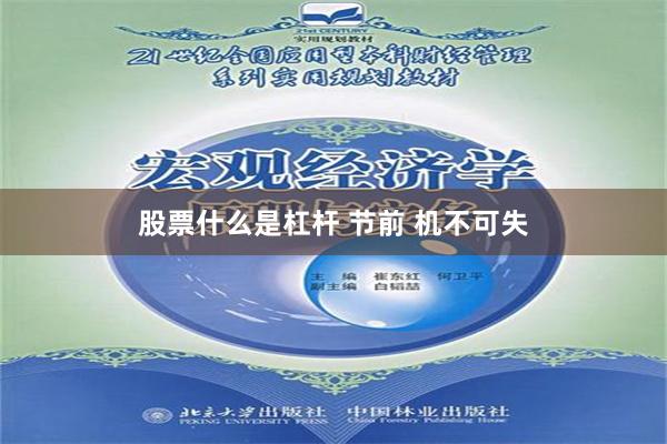 股票什么是杠杆 节前 机不可失