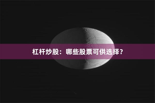 杠杆炒股：哪些股票可供选择？