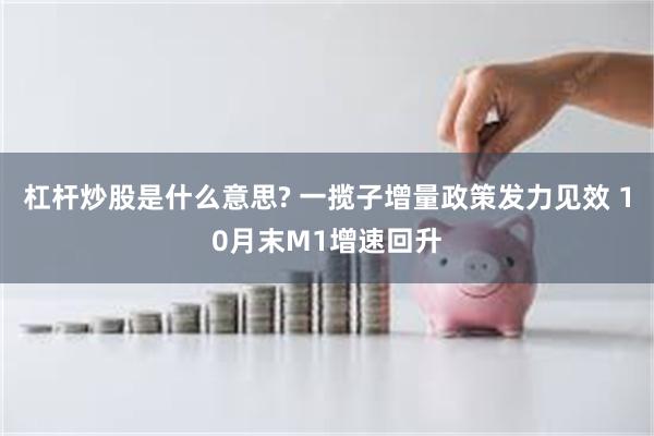 杠杆炒股是什么意思? 一揽子增量政策发力见效 10月末M1增速回升