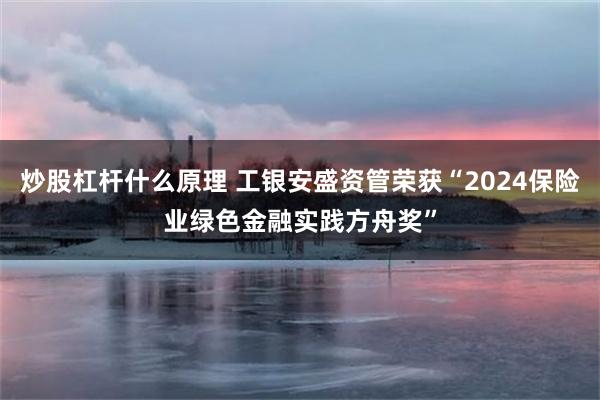 炒股杠杆什么原理 工银安盛资管荣获“2024保险业绿色金融实践方舟奖”