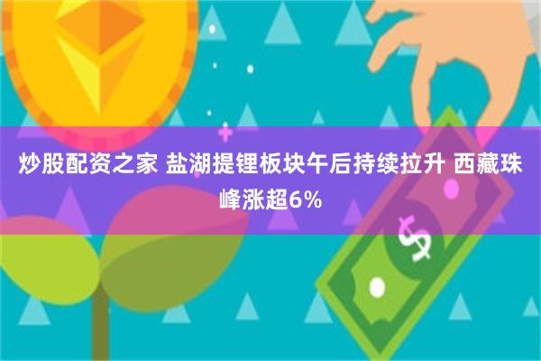 炒股配资之家 盐湖提锂板块午后持续拉升 西藏珠峰涨超6%
