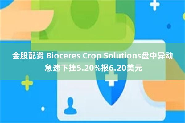金股配资 Bioceres Crop Solutions盘中异动 急速下挫5.20%报6.20美元