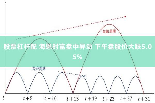 股票杠杆配 海恩时富盘中异动 下午盘股价大跌5.05%