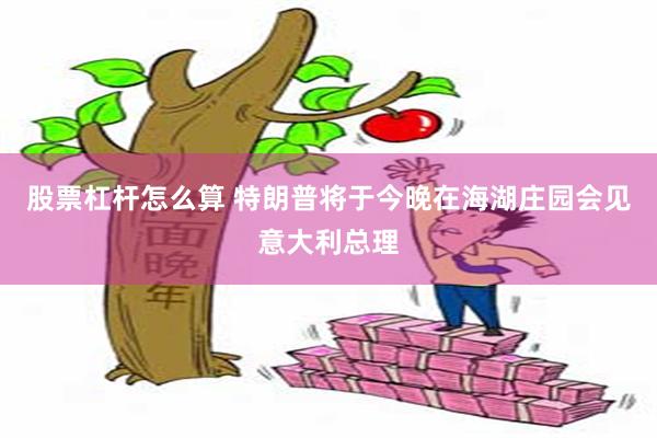 股票杠杆怎么算 特朗普将于今晚在海湖庄园会见意大利总理
