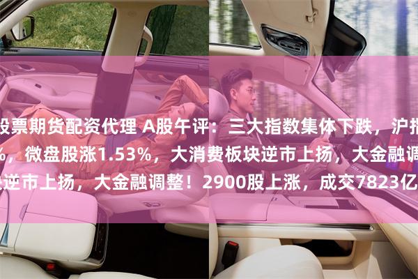 股票期货配资代理 A股午评：三大指数集体下跌，沪指跌1.05%创指跌1.79%，微盘股涨1.53%，大消费板块逆市上扬，大金融调整！2900股上涨，成交7823亿缩量213亿