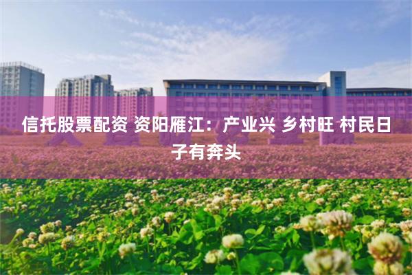 信托股票配资 资阳雁江：产业兴 乡村旺 村民日子有奔头