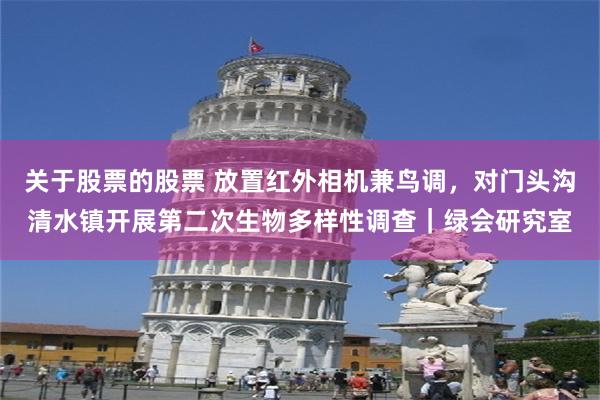 关于股票的股票 放置红外相机兼鸟调，对门头沟清水镇开展第二次生物多样性调查｜绿会研究室