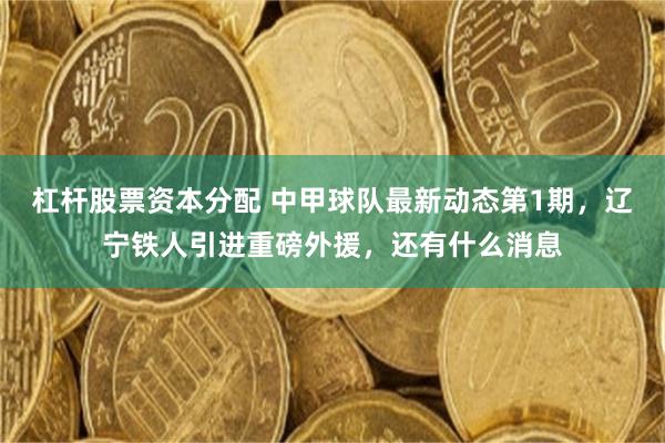 杠杆股票资本分配 中甲球队最新动态第1期，辽宁铁人引进重磅外援，还有什么消息