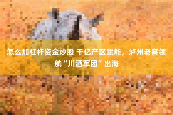 怎么加杠杆资金炒股 千亿产区赋能，泸州老窖领航“川酒军团”出海