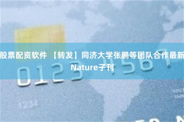 股票配资软件 【转发】同济大学张鹏等团队合作最新Nature子刊