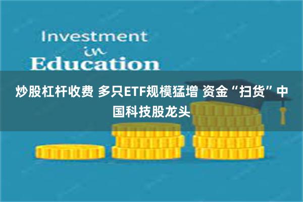 炒股杠杆收费 多只ETF规模猛增 资金“扫货”中国科技股龙头