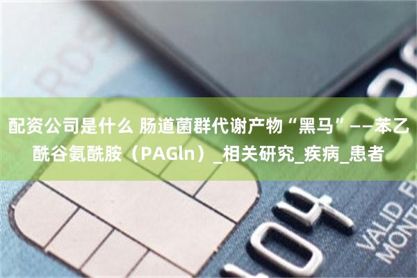 配资公司是什么 肠道菌群代谢产物“黑马”——苯乙酰谷氨酰胺（PAGln）_相关研究_疾病_患者