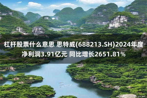 杠杆股票什么意思 思特威(688213.SH)2024年度净利润3.91亿元 同比增长2651.81%