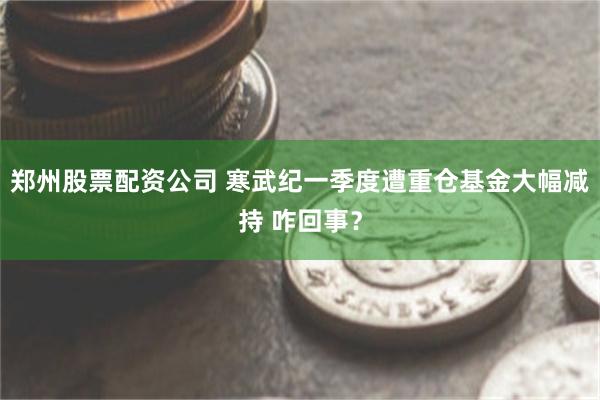郑州股票配资公司 寒武纪一季度遭重仓基金大幅减持 咋回事？