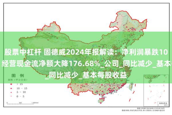 股票中杠杆 固德威2024年报解读：净利润暴跌107.25%，经营现金流净额大降176.68%_公司_同比减少_基本每股收益