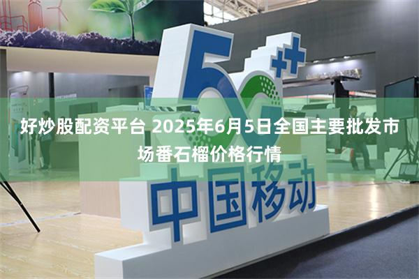 好炒股配资平台 2025年6月5日全国主要批发市场番石榴价格行情
