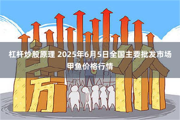 杠杆炒股原理 2025年6月5日全国主要批发市场甲鱼价格行情