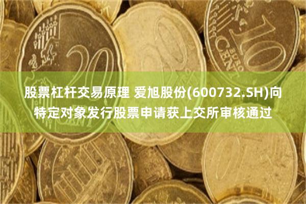 股票杠杆交易原理 爱旭股份(600732.SH)向特定对象发行股票申请获上交所审核通过