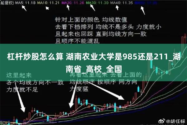 杠杆炒股怎么算 湖南农业大学是985还是211_湖南省_高校_全国