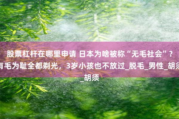 股票杠杆在哪里申请 日本为啥被称“无毛社会”？有毛为耻全都剃光，3岁小孩也不放过_脱毛_男性_胡须