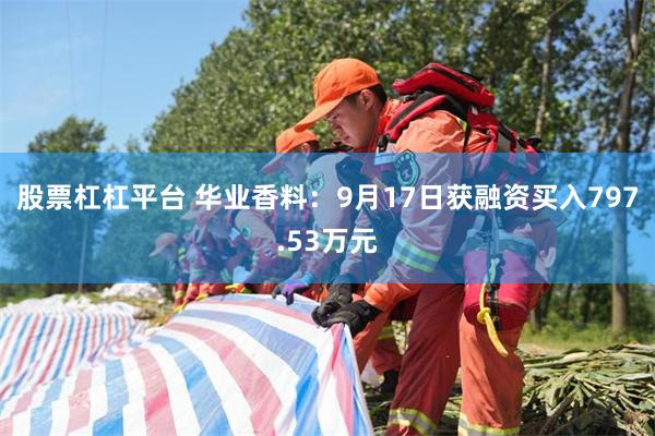 股票杠杠平台 华业香料：9月17日获融资买入797.53万元