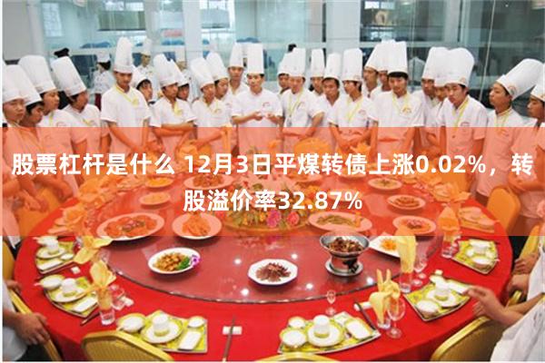 股票杠杆是什么 12月3日平煤转债上涨0.02%，转股溢价率32.87%